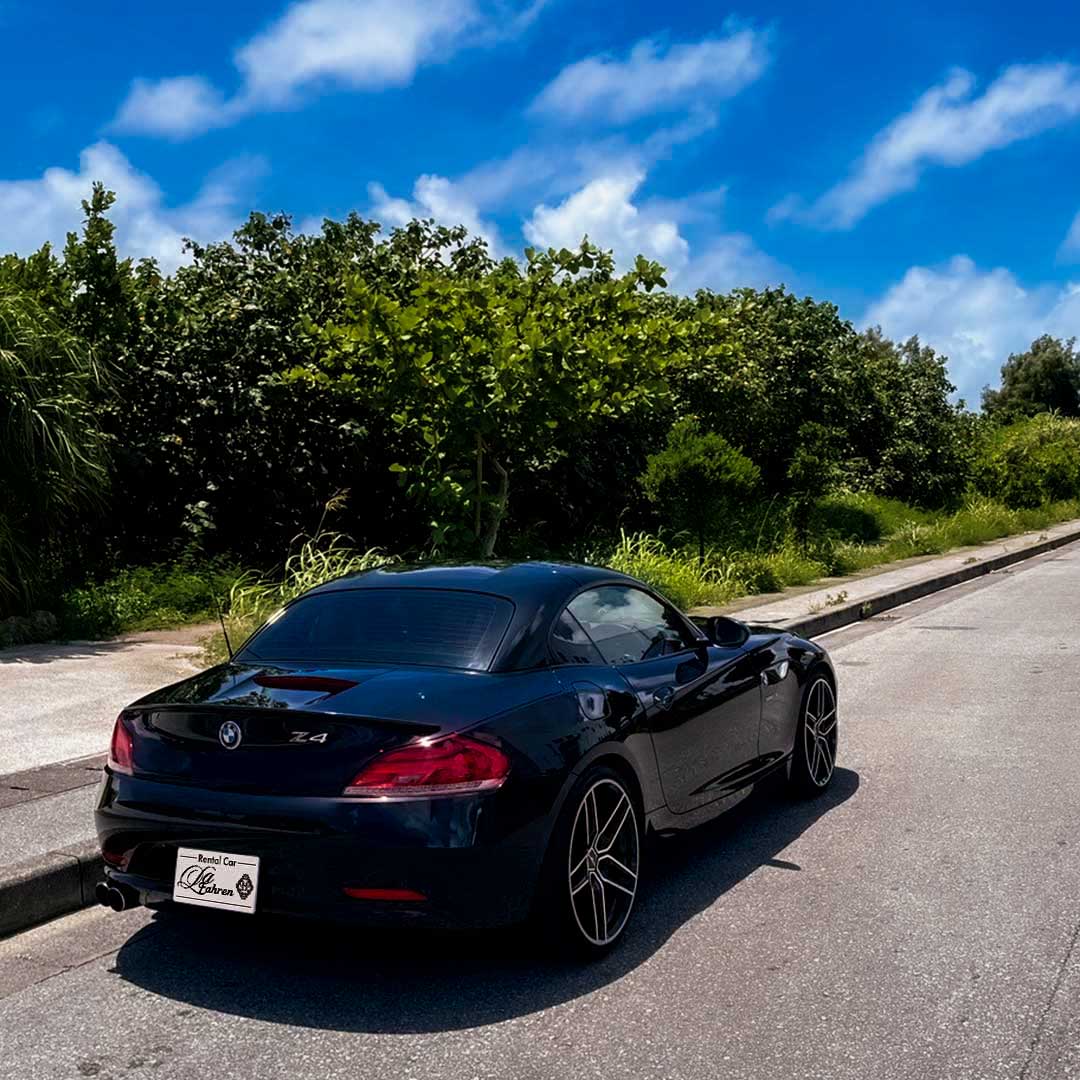Z4_003-1